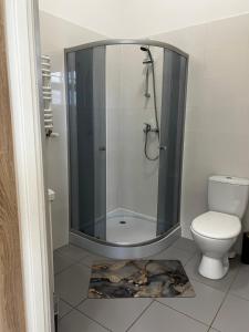 a bathroom with a shower and a toilet at Noclegi Korzybie in Korzybie +12 photos
