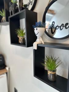 a shelf with potted plants and a mirror at Stayhome in Ruse +4 photos