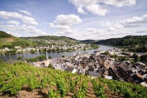 a view of a town on the river at Ferienwohnung Moselblick in Alf