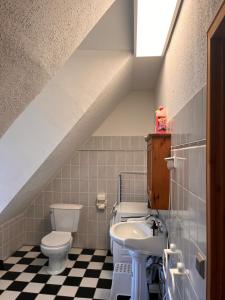 a bathroom with a sink and a toilet in a attic at Kreativ-Kate in Kranenburg +86 photos
