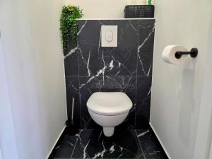 a bathroom with a toilet in a black marble wall at Duplex Cosy proche parlement européen et Strasbourg in Schiltigheim