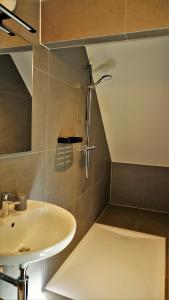 a bathroom with a sink and a shower at Vakantiewoning d'Hoppe in Flobecq +13 photos