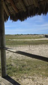 a fence with two giraffes standing in a field at Chalé mirante in Tutóia
