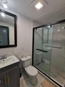 a bathroom with a shower and a toilet and a sink at 586 Hotel in Toronto +24 photos