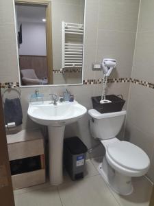 a bathroom with a sink and a toilet and a mirror at Hotel y Cabañas La Magia del Sur in Valdivia