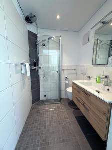 ein Badezimmer mit Dusche, Waschbecken und Toilette in der Unterkunft Inklusions- und Panorama Hotel Kochsberg in Grebendorf + 21 Fotos