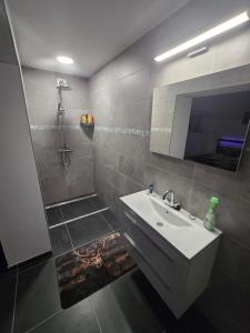 a bathroom with a sink and a shower with a mirror at Le Marronnier in Bastogne +13 photos