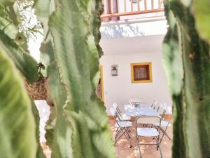 a table and chairs in a room with a plant at Casa REFUGIO DEL CABO, Cabo de Gata in El Cabo de Gata