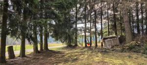 a forest of trees with a house and a road at Almplatz mit Weitblick in Langschlag