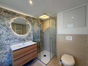 a bathroom with a toilet and a sink and a mirror at Les suites Villeneuve - 3 in Le Puy-en-Velay
