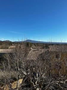 a tree with no leaves on it in a field at Charmant loft industriel de 40m2 in Aubignan