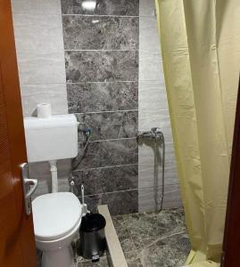 a bathroom with a toilet and a shower at ŽUBOR VRELA in Despotovac