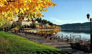 Afbeelding uit fotogalerij van Anesis in Kastoria