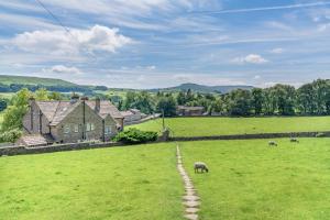 a sheep grazing in a field with a brick road at 1 Bed in Askrigg oc-n28350 in Askrigg