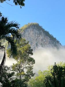 a mountain shrouded in fog with trees in the foreground at Ban Suan Chana Homestay in Ban Pha Saeng Lang