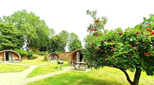 a garden with a picnic table and a tree at 1 Bed in Rocester oc-a33054 in Rocester