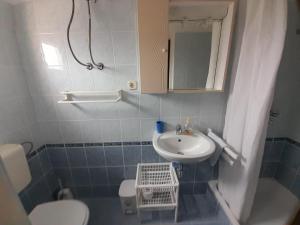 a small bathroom with a sink and a toilet at Apartments Picolo Paradiso Miljenko Debelić in Rab +20 photos