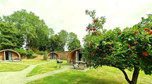 a garden with a house and a tree at 1 Bed in Rocester oc-o33055 in Rocester