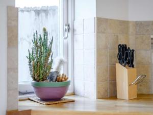 a plant in a pot sitting on a counter next to a window at 1 Bed in Lyndhurst oc-nfl60 in Lyndhurst