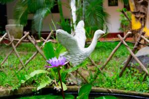 Giardino di Hotel Samanala Sigiriya