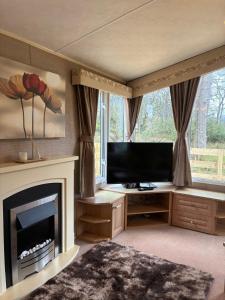 a living room with a fireplace and a flat screen tv at The Grosvenor 45 in Ardentinny