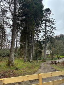 a wooden fence next to a dirt road with trees at The Grosvenor 45 in Ardentinny