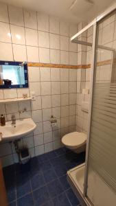 a bathroom with a toilet and a sink and a shower at Ferienhaus Moselpanorama in Ellenz-Poltersdorf +79 photos