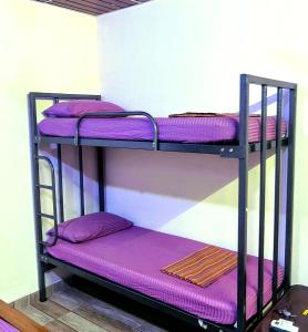 two bunk beds in a room with purple sheets at Adiga's Homestay Dharmasthala in Dharmastala