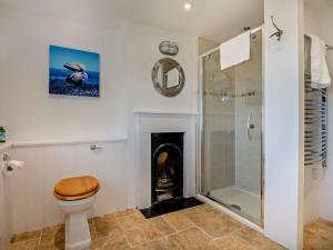 a bathroom with a shower and a toilet and a fireplace at 4 Bed in Swanage oc-76659 in Langton Matravers +13 photos