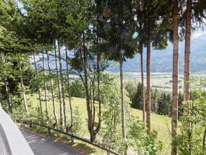 a road with trees on the side of a hill at Apartment Jacob by Interhome in Dölsach +26 photos