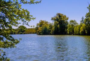 a large lake with trees on the side of it at Camping Lac aux Oiseaux - Mobil-home 3 Pièces 4 Personnes MAE-0991 in Martiel +73 photos