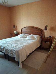a bedroom with a large bed and two night stands at Golf Home in Écommoy