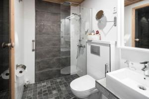 a bathroom with a shower and a toilet and a sink at Santa's Igloos Arctic Circle in Rovaniemi