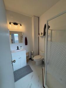 a bathroom with a toilet and a sink and a shower at Stone House Kenora in Kenora +23 photos