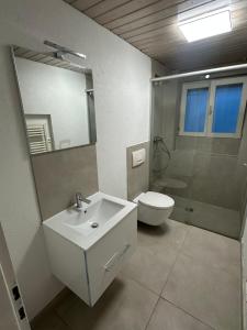 a bathroom with a sink and a toilet and a mirror at Monteurswohnung Schwarzwald in Eggingen