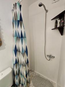 a bathroom with a shower with a blue at Petra Pelikan in Mikonos +16 photos