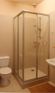 a bathroom with a shower with a toilet and a sink at Apartmány Amaris in Strachotín +19 photos