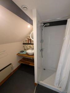 a bathroom with a shower and a sink at Chambres des Gatinelles in Erbray