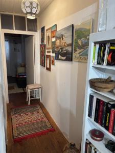 a hallway with a book shelf with books at Maison de village in Ortiporio
