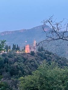 a castle on top of a hill with trees at Maison de village in Ortiporio +7 photos