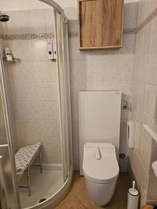 a small bathroom with a toilet and a shower at Vista Lago in Luino +26 photos
