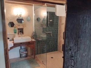 a bathroom with a shower and a sink at Les Hauts de la Crempse chambre d'hôtes in Montagnac-la-Crempse