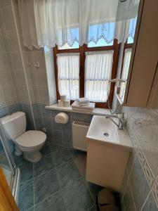 a bathroom with a toilet and a sink and a mirror at Vila Banga in Nida