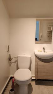 a bathroom with a white toilet and a sink at Chambre Deluxe avec Salle de bain et clim in Bourges