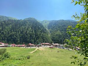 a village in a field with mountains in the background at Ayder Villa Bravo in Çamlıhemşin