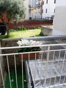 a planter with white flowers sitting on top of stairs at Dimora Victoria in Ascoli Piceno +5 photos