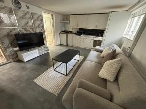 a living room with a couch and a flat screen tv at Cosy Family Basement Apartment in Copenhagen Søborg with Jacuzzi in Søborg