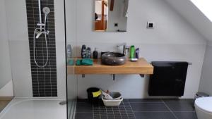 a bathroom with a sink and a shower at Podkroví s koupelnou in Svinařov +23 photos