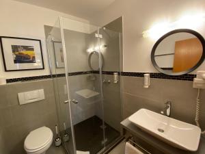 a bathroom with a shower and a toilet and a sink at Seehof Hotel am Aartalsee in Bischoffen