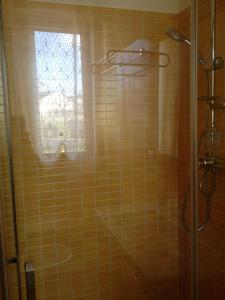 a bathroom with a shower and a window at B&B La Torre in Rosello